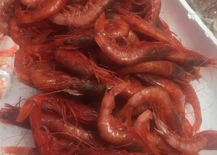 Residenza Sul Mare Baia Cornino *