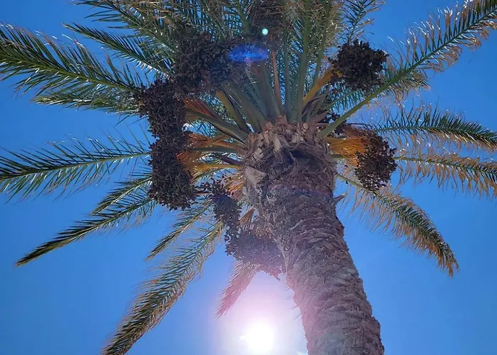 Residenza Sul Mare Baia Cornino