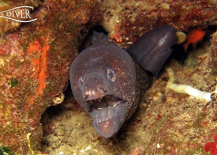 Residenza Sul Mare Baia Cornino